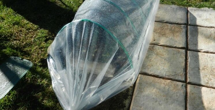 Jak zrobić niski tunel foliowy? DIY - zrób to sam!