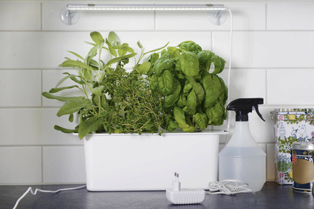 Zawieszenie z Przyssawkami 40 cm