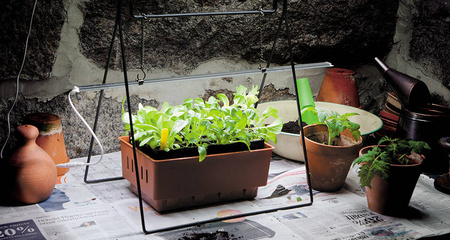 Oświetlenie Roślin LED z Adapterem 39 cm