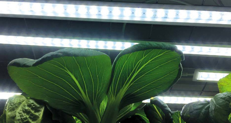 Zawieszenie z Mechanizmem Podnoszącym 40 cm