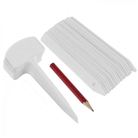 TABLICZKI DO OPISU ROŚLIN