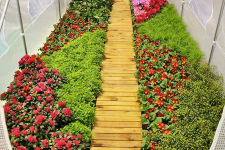 Tunel Foliowy 200 cm x 350 cm (7,0 m2) biały