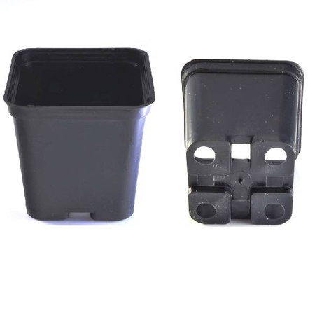 Doniczki Produkcyjne Kwadratowe 7x7 - 50 szt. Zoigarden