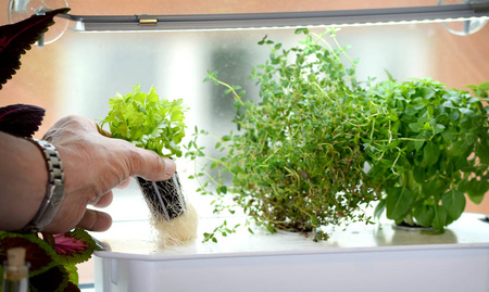 Oświetlenie Roślin LED z Adapterem 39 cm