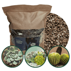 Podłoże do sukulentów i kaktusów - bigos 5 L Urban Jungle
