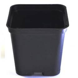 Doniczki Produkcyjne Kwadratowe 7x7 - 50 szt. Zoigarden